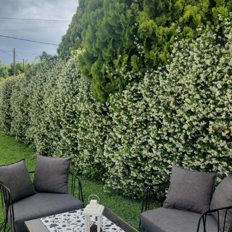 Quinta Palmeras Canning - Casa Vacacional de 3 dormitorios - 33