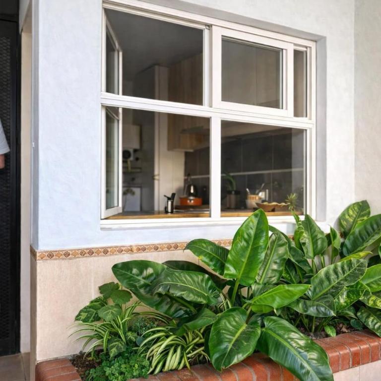 Brisas paraiso - One-Bedroom Apartment - 3
