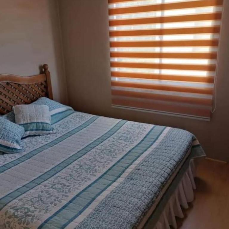 Amarello - Two-Bedroom House - 6