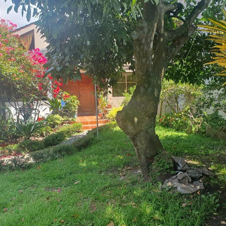 Casa Familiar con Jardin - Four-Bedroom House - 12