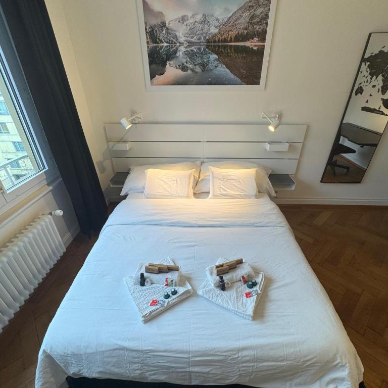 Cosy studio in Lausanne Flon - Appartamento con 1 Camera da Letto e Balcone - 3
