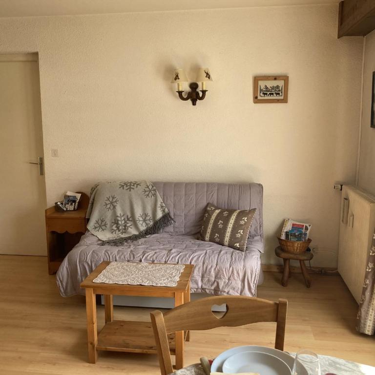 Appartement cosy pour 2 avec Wifi à Samoëns - FR-1-846-27 - Studio - 5