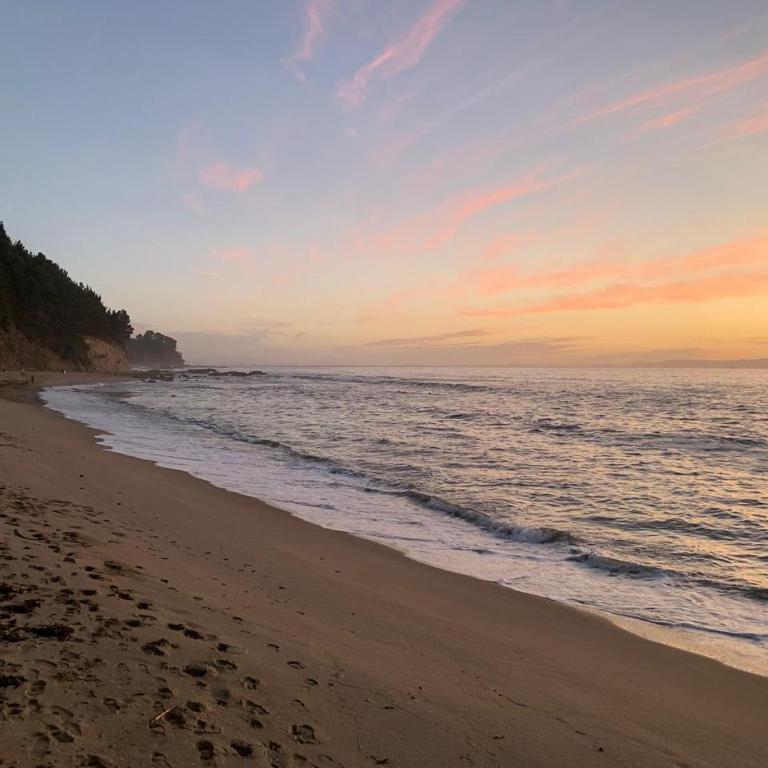 Departamento cocholgue Tomé - One-Bedroom Apartment - 6