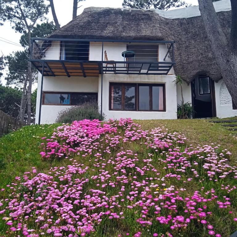 Antigona - Five-Bedroom House - 13