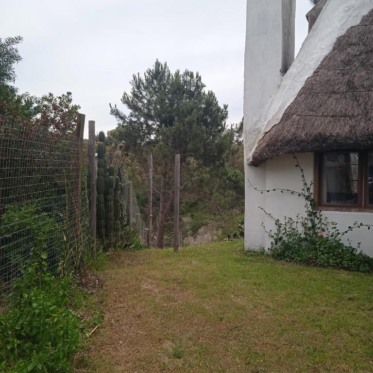 Antigona - Five-Bedroom House - 25