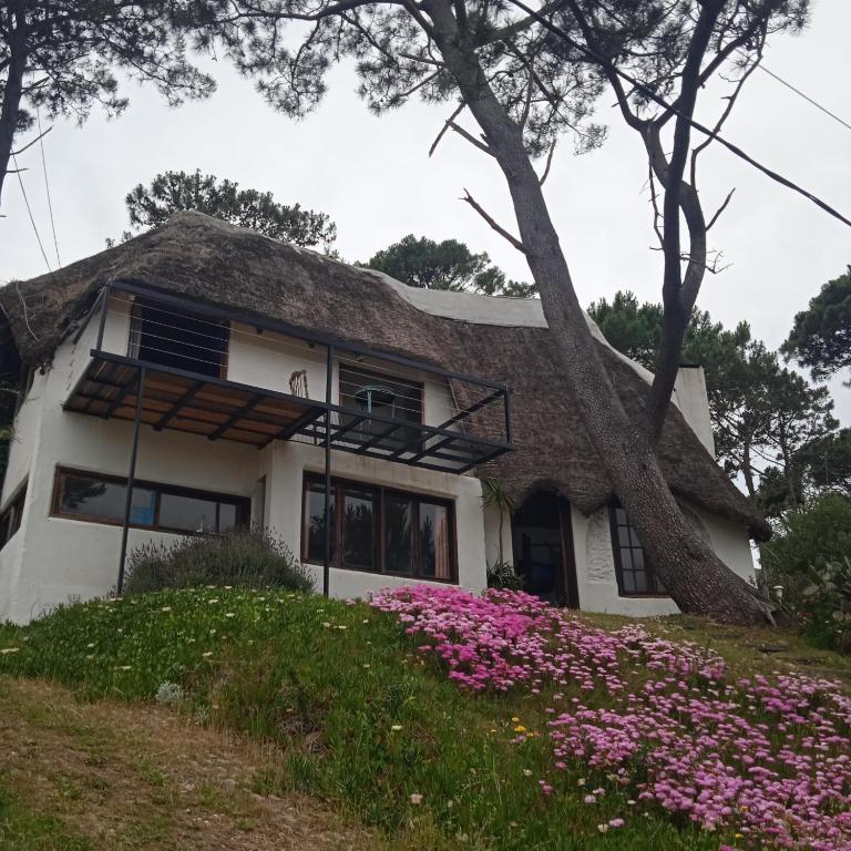 Antigona - Five-Bedroom House - 32