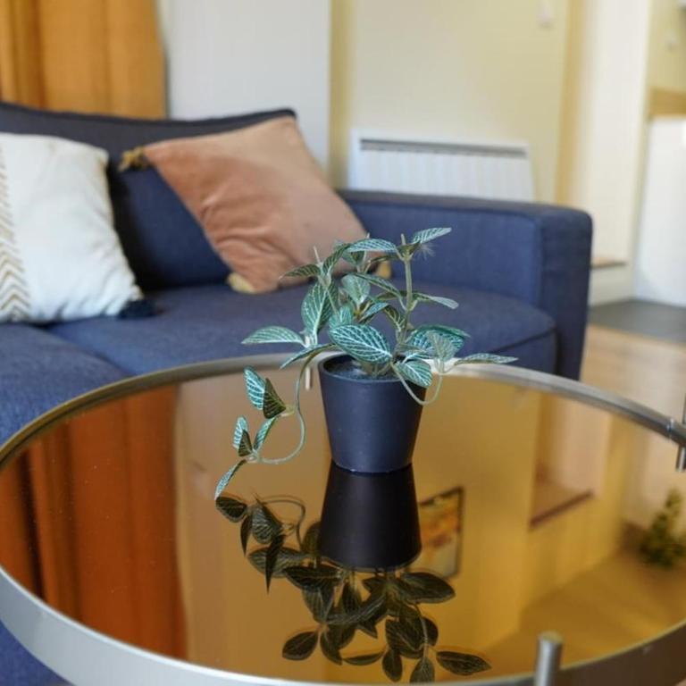 Au Rez-de-Vauquois - Cosy Confort centre Ville - One-Bedroom Apartment - 5