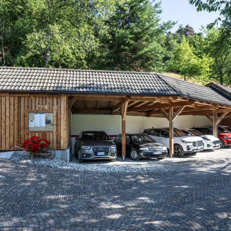 Appartements Plattnerhof - Appartamento con 2 Camere da Letto - 12
