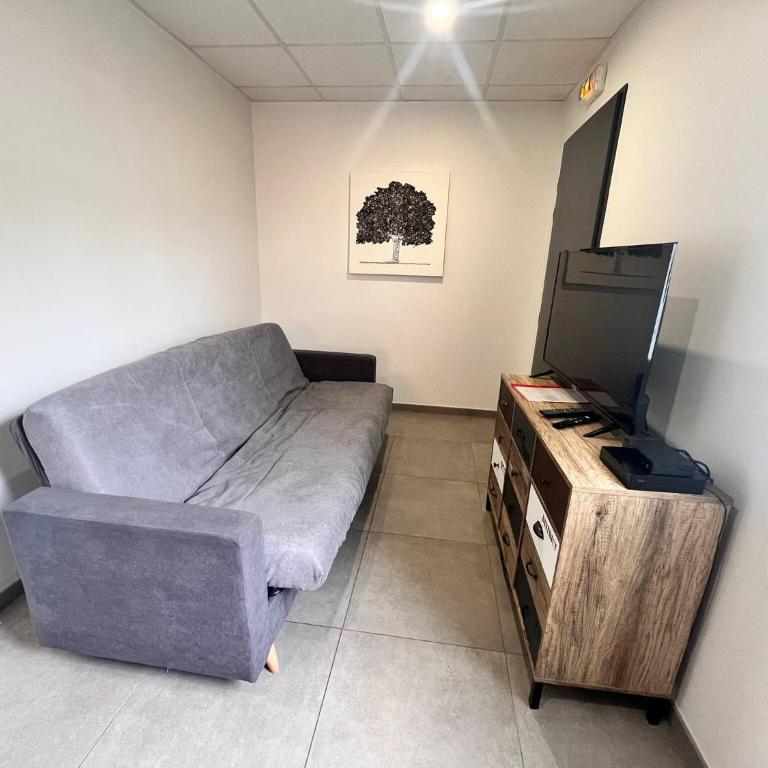 Le Clair Chavanoz T3 charmant - Appartamento - 2