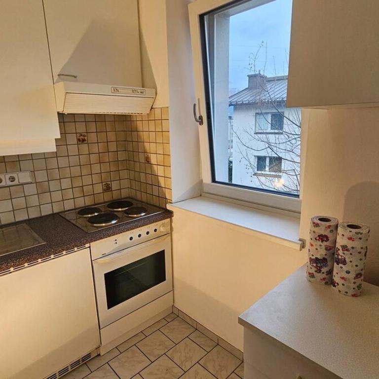 Helle, hochwertig neu rennovierte Künstlerwohnung - Appartamento Monolocale con Balcone - 16