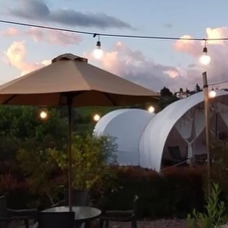 Origen Glamping en Villa de Leyva - Tent - 11