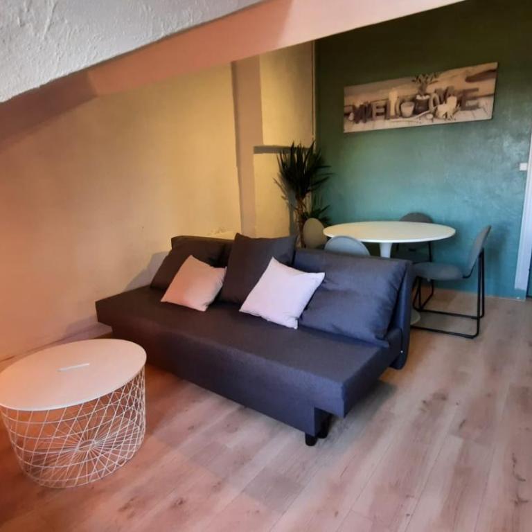 Cosy charmant T2 Stationnement gratuit - Apartment mit 1 Schlafzimmer - 12