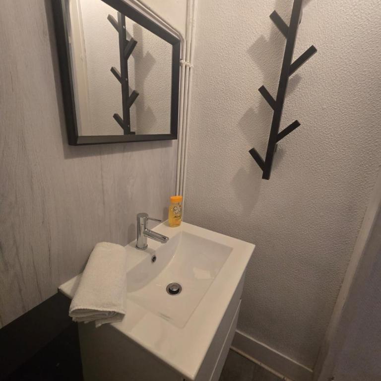 Cosy charmant T2 Stationnement gratuit - Apartment mit 1 Schlafzimmer - 4