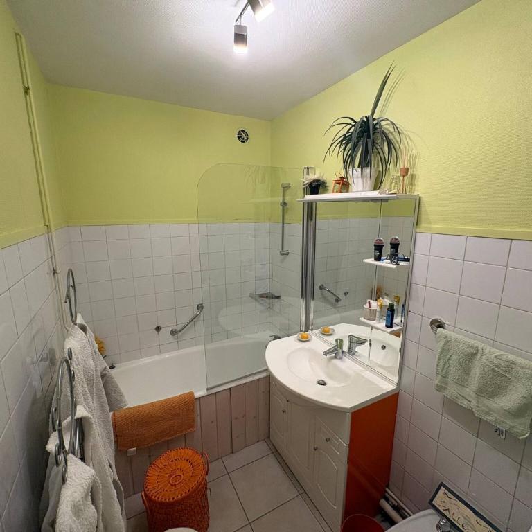 Le Petit Baron - Appartement - 13