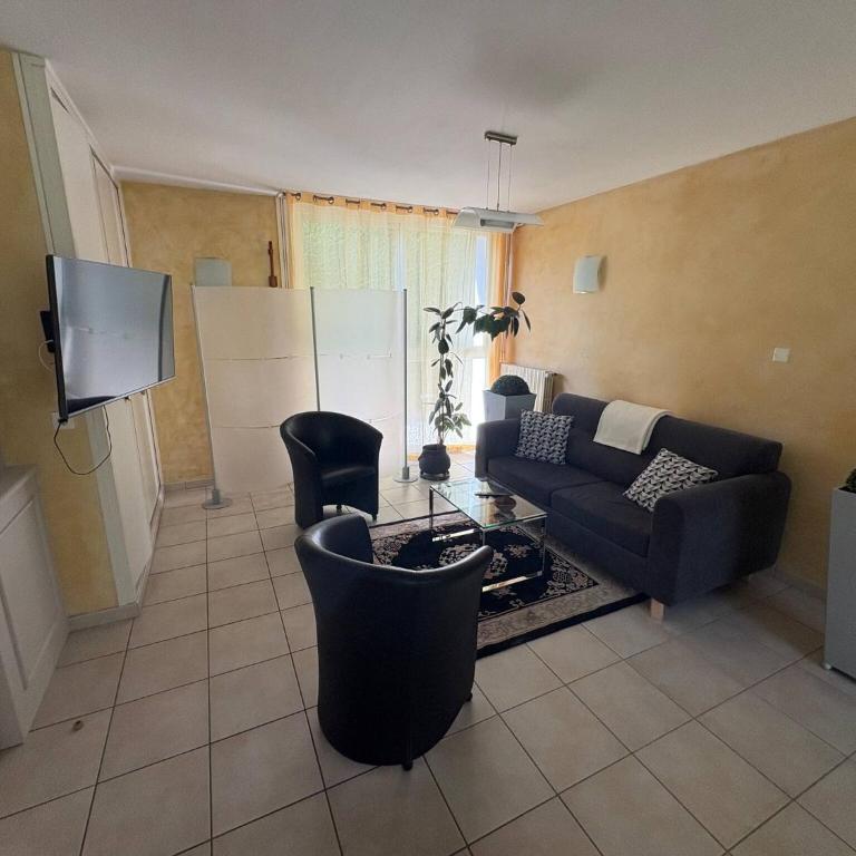 Le Petit Baron - Appartement - 14