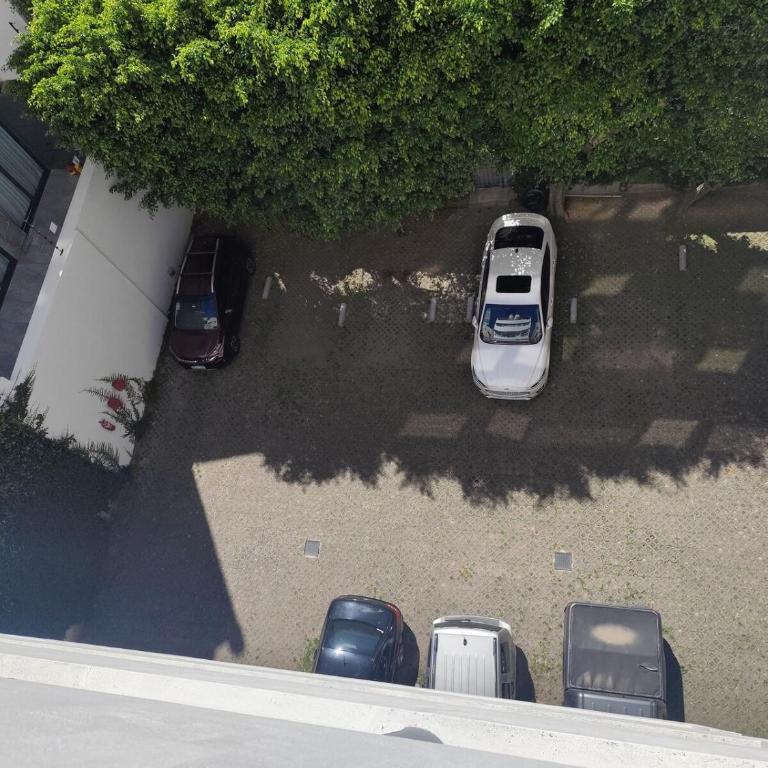 Living, 2 dormitorios con Cochera y Vista a los Bosques, BBQ y Laundry - Apartamento de 3 dormitorios - 18