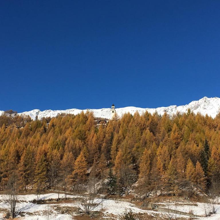 R.T.A. Hotel Monte Rosa - Apartment with Mountain View - 8