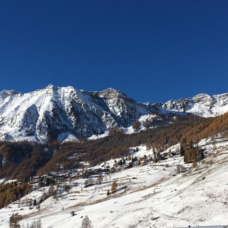 R.T.A. Hotel Monte Rosa - Apartment with Mountain View - 9