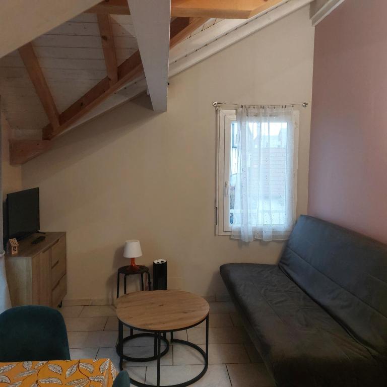 Appartements confort entre lac Léman et Chamonix - Appartement 1 Chambre - 23