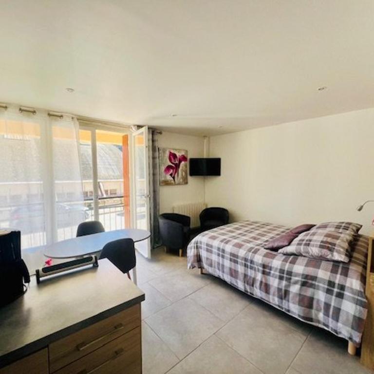 Studio Confortable avec Animaux Admis et WIFI - FR-1-703-224 - Studio - 9