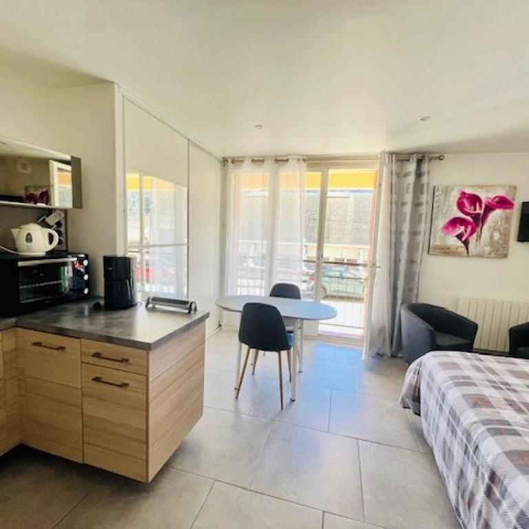 Studio Confortable avec Animaux Admis et WIFI - FR-1-703-224 - Studio - 1
