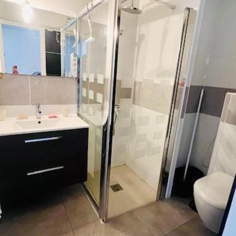 Studio Confortable avec Animaux Admis et WIFI - FR-1-703-224 - Studio - 11