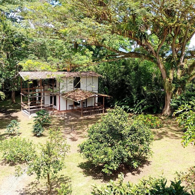 Cabañas en el Bosque - Three-Bedroom House - 32