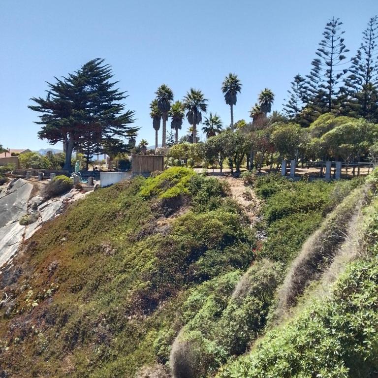 Algarrobo cabañas frente al mar - One-Bedroom House - 15