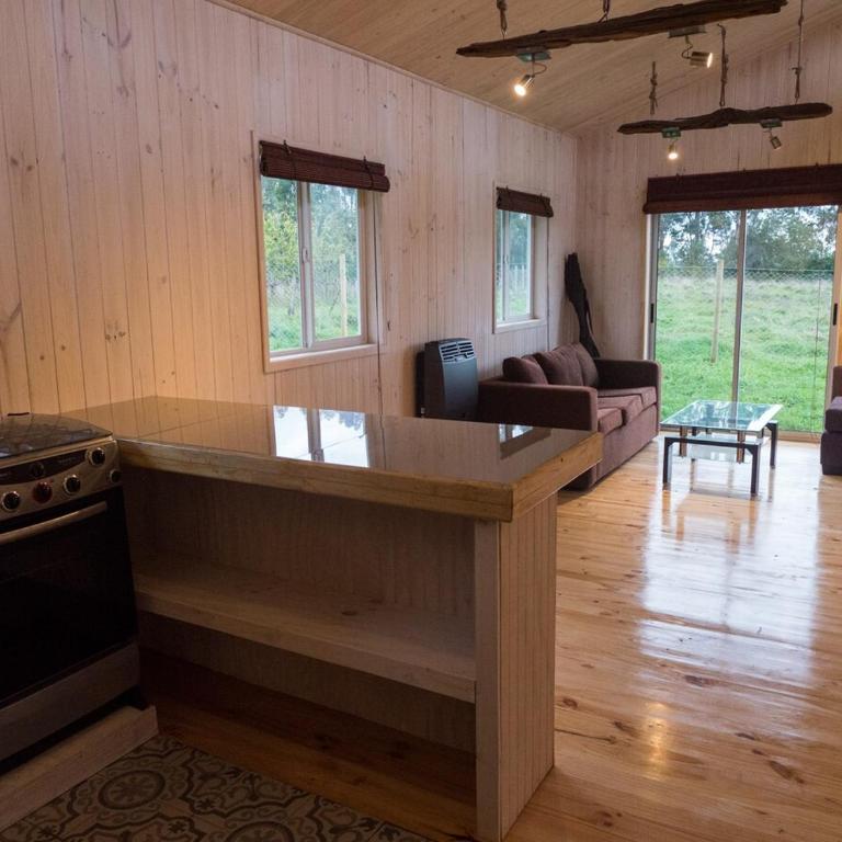 Cabaña en Puerto Rosales, Puerto Varas - One-Bedroom House - 8