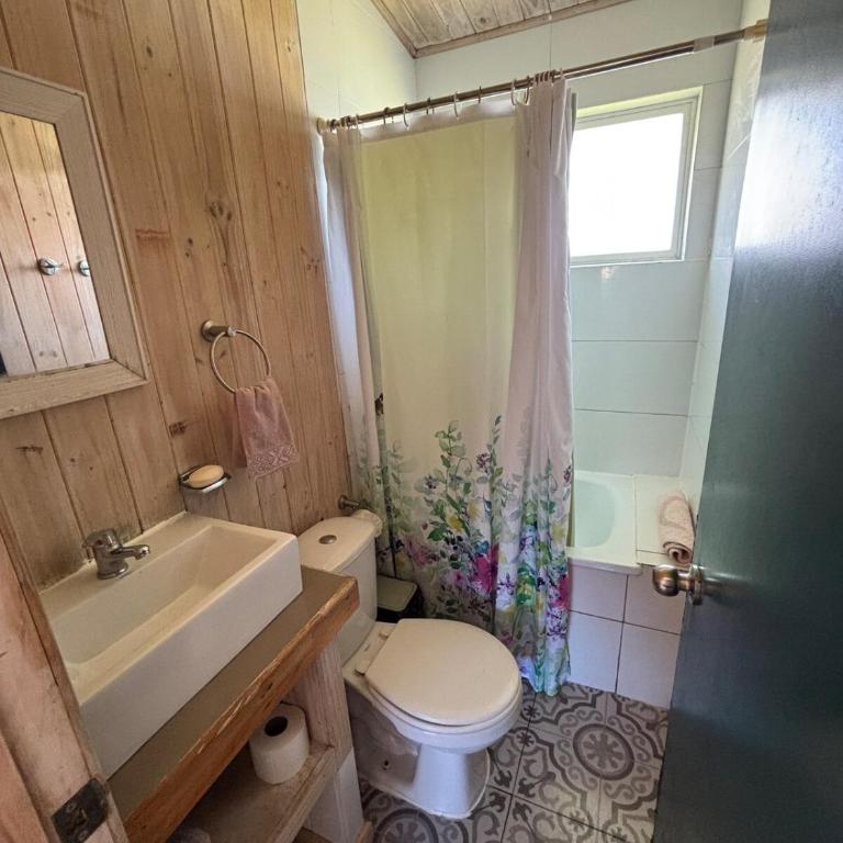Cabaña en Puerto Rosales, Puerto Varas - One-Bedroom House - 19