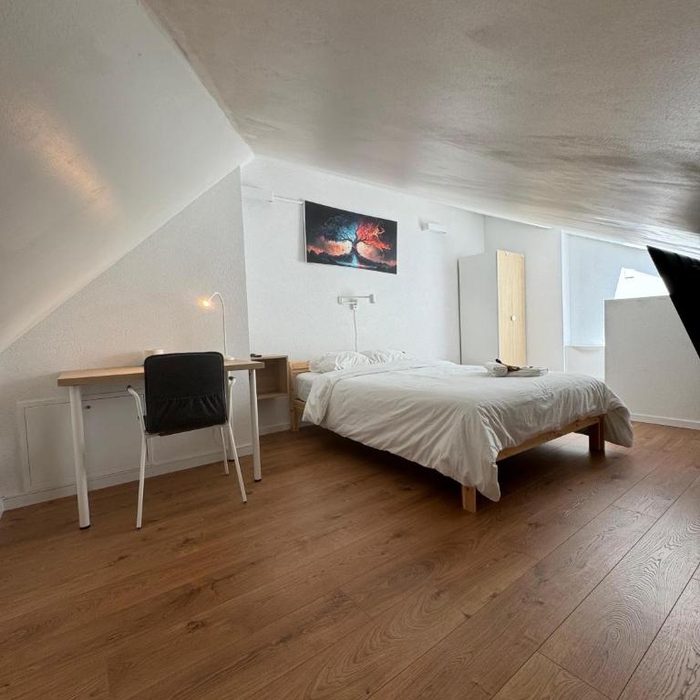 Private & Shared Stays in Lausanne - Camera Matrimoniale Standard con Bagno in Comune - 7