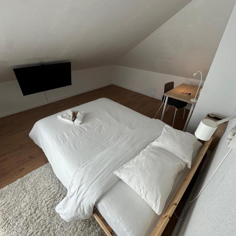 Private & Shared Stays in Lausanne - Camera Matrimoniale Standard con Bagno in Comune - 9