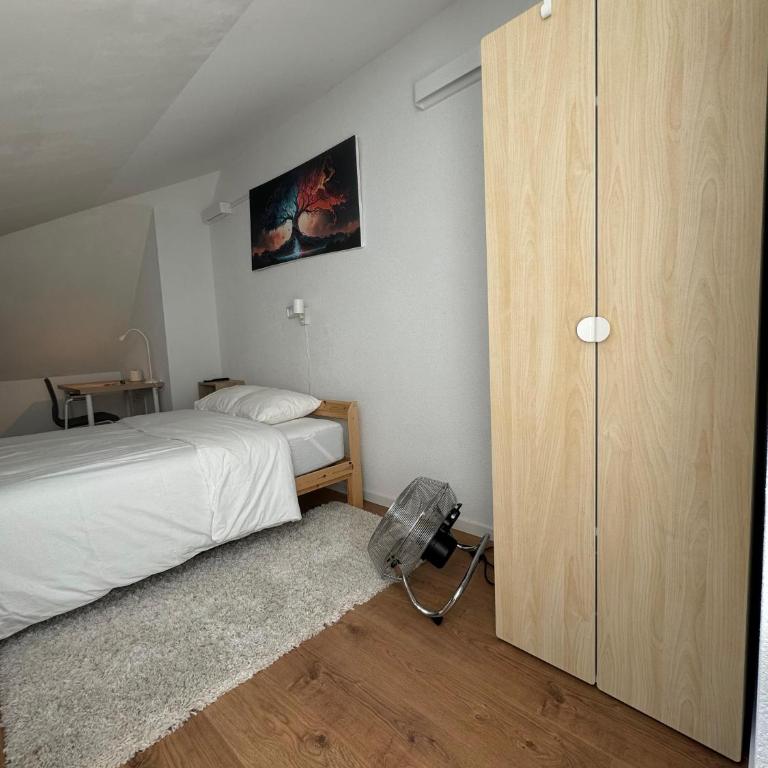 Private & Shared Stays in Lausanne - Camera Matrimoniale Standard con Bagno in Comune - 10