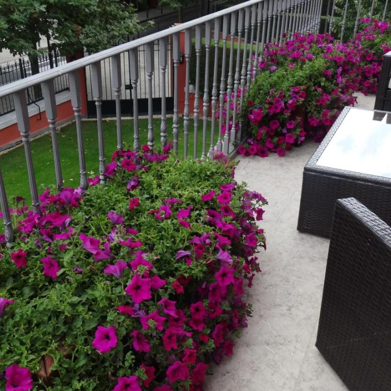 Apartaments Boutique la Torreta del Llac - Apartment mit 2 Schlafzimmern, Terrasse und Seeblick - 5