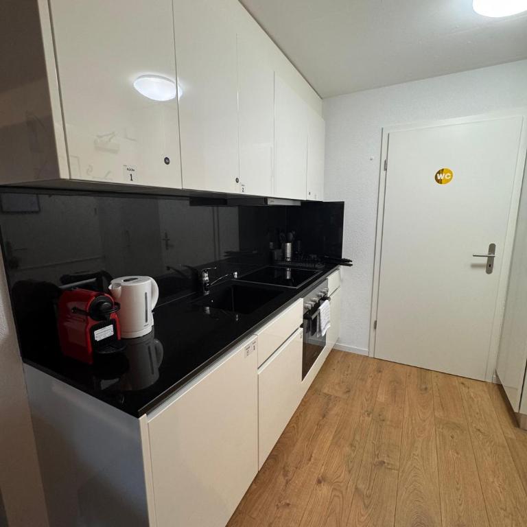 Private & Shared Stays in Lausanne - Camera Matrimoniale Standard con Bagno in Comune - 5