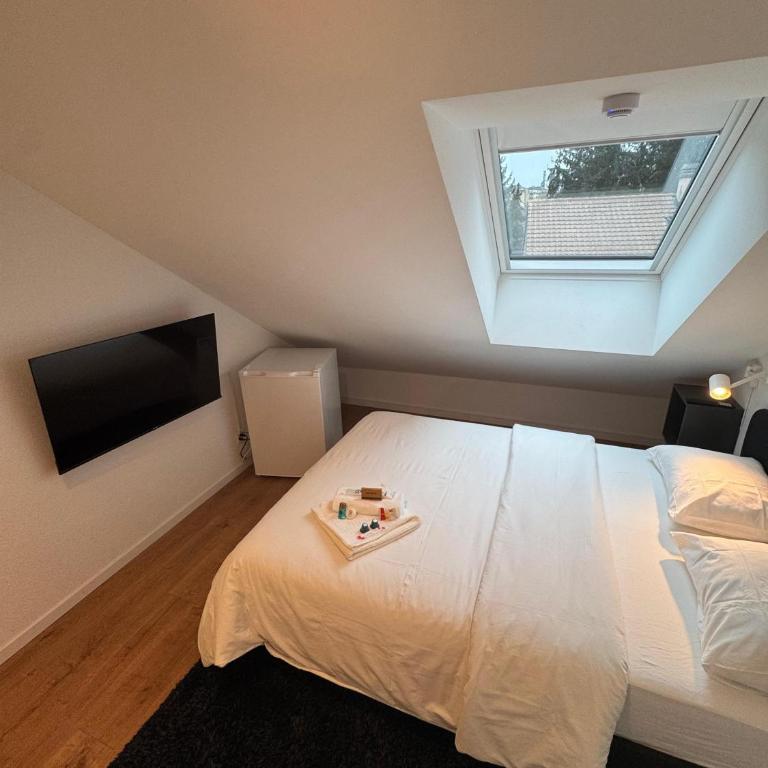 Private & Shared Stays in Lausanne - Camera Matrimoniale Standard con Bagno in Comune - 9