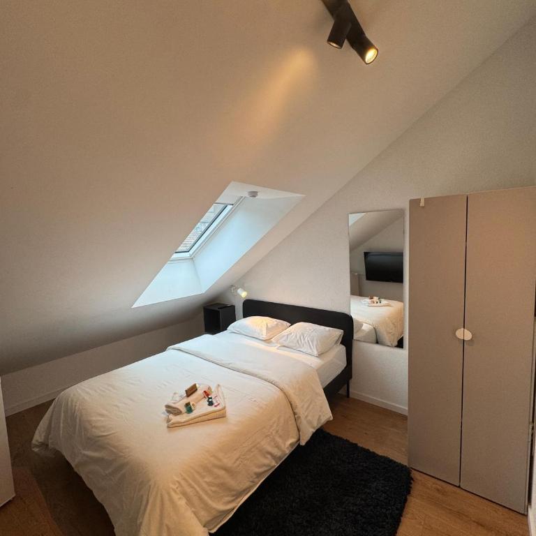 Private & Shared Stays in Lausanne - Camera Matrimoniale Standard con Bagno in Comune - 10