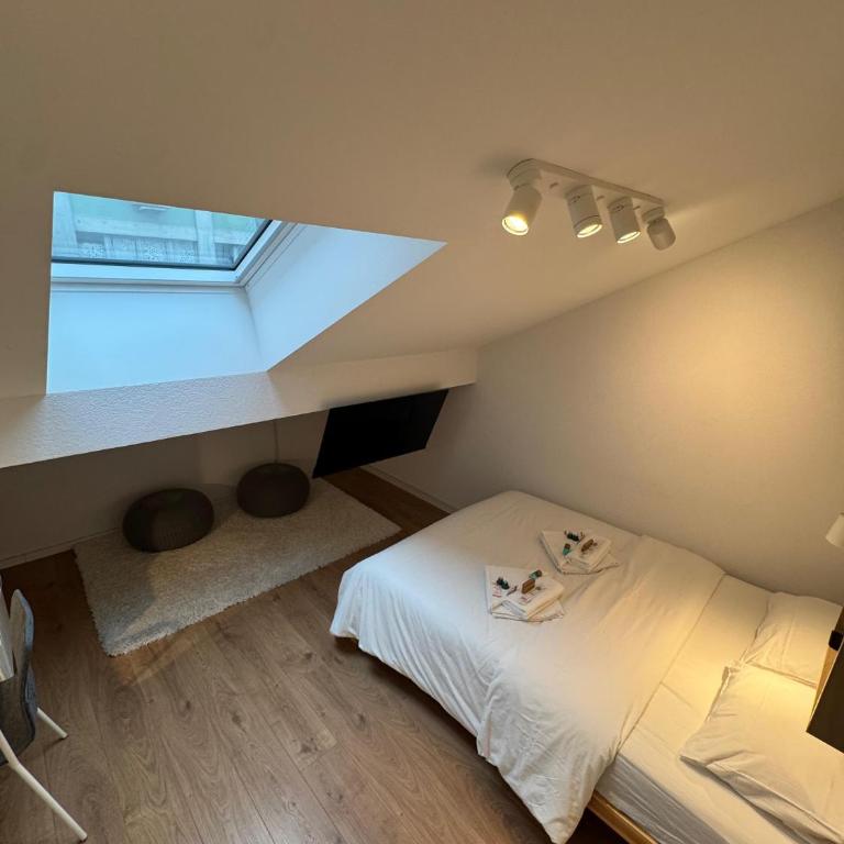 Private & Shared Stays in Lausanne - Camera Matrimoniale Standard con Bagno in Comune - 12