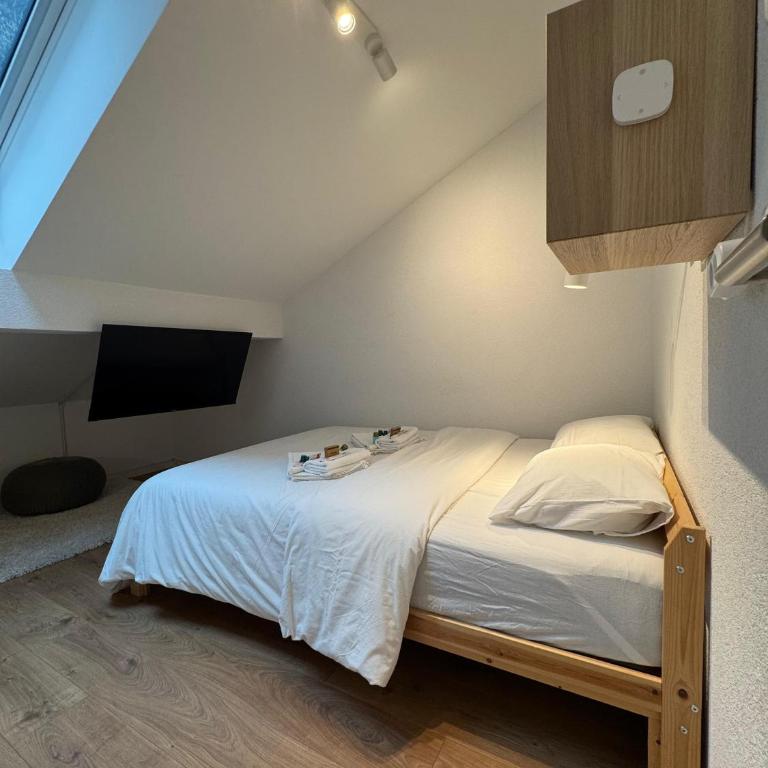 Private & Shared Stays in Lausanne - Camera Matrimoniale Standard con Bagno in Comune - 14