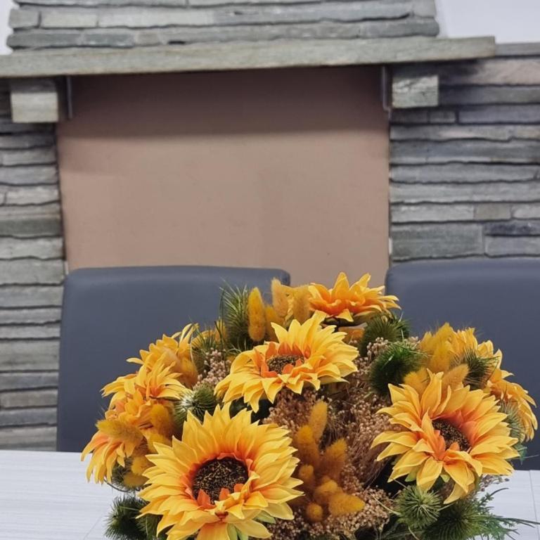 sunflower apartment - Appartement 3 Chambres - 5