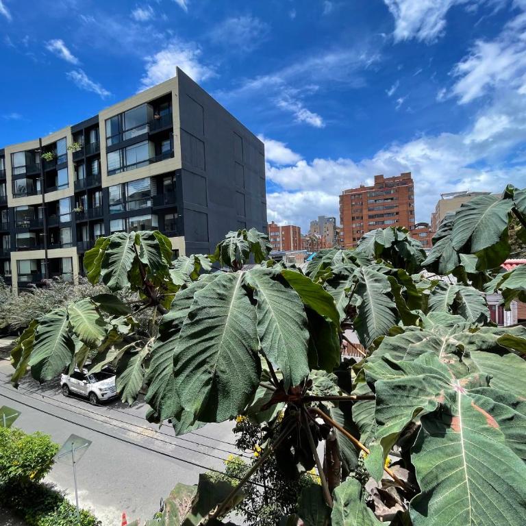 Luxury Apt I Views, Sauna, Gym near Unicentro - Apartamento de 2 dormitorios - 22