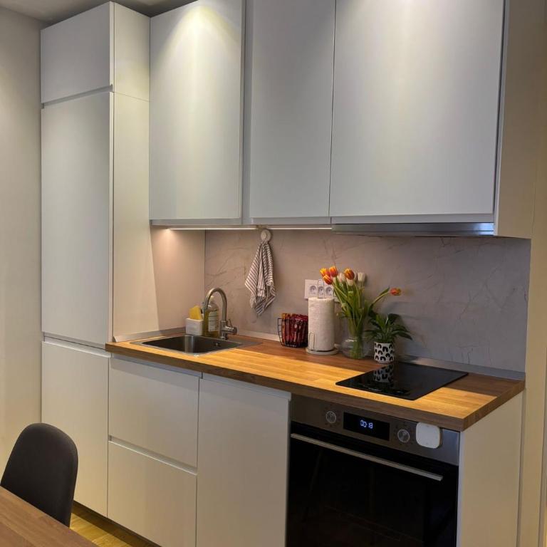Modern Apartment - Fontana Belgrade - Apartman sa 1 Spavaćom Sobom - 7