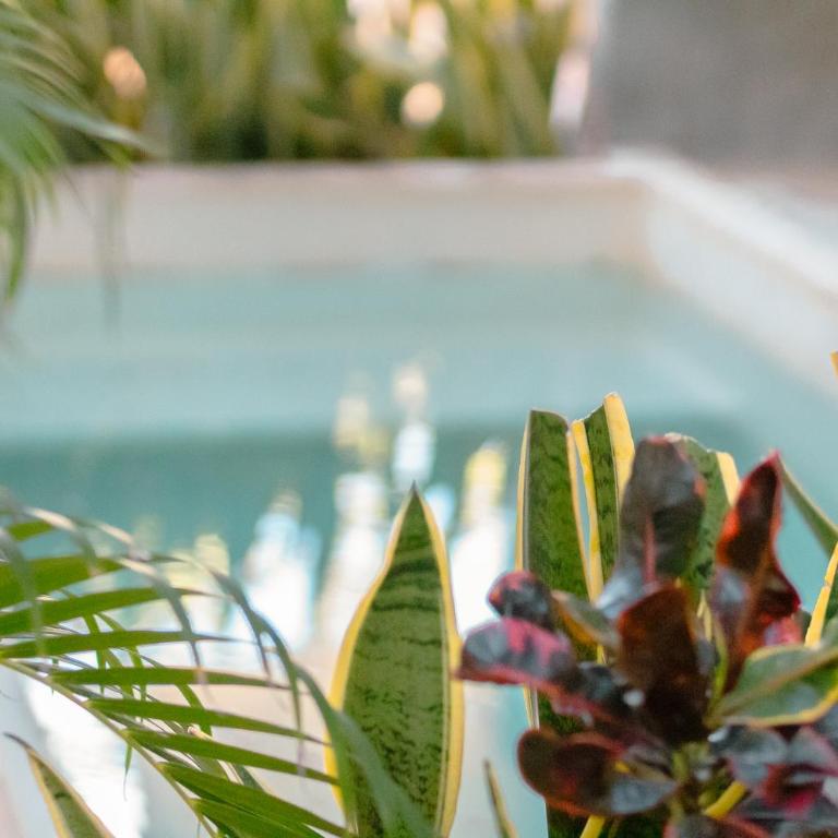Studio 107 Private Pool & King bed Seremonia Tulum - Apartamento de 1 dormitorio - 20