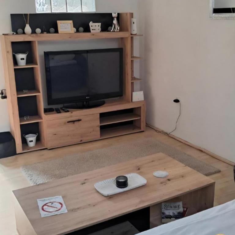 Nanny - One-Bedroom Apartment - 4