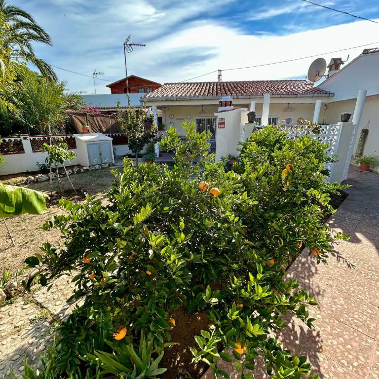La Casita DENIA Playa Deveses - Casa de 3 dormitorios - 14