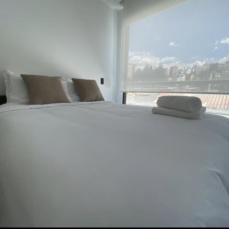Cozy apartment in the heart of Quito - One-Bedroom Apartment - 1