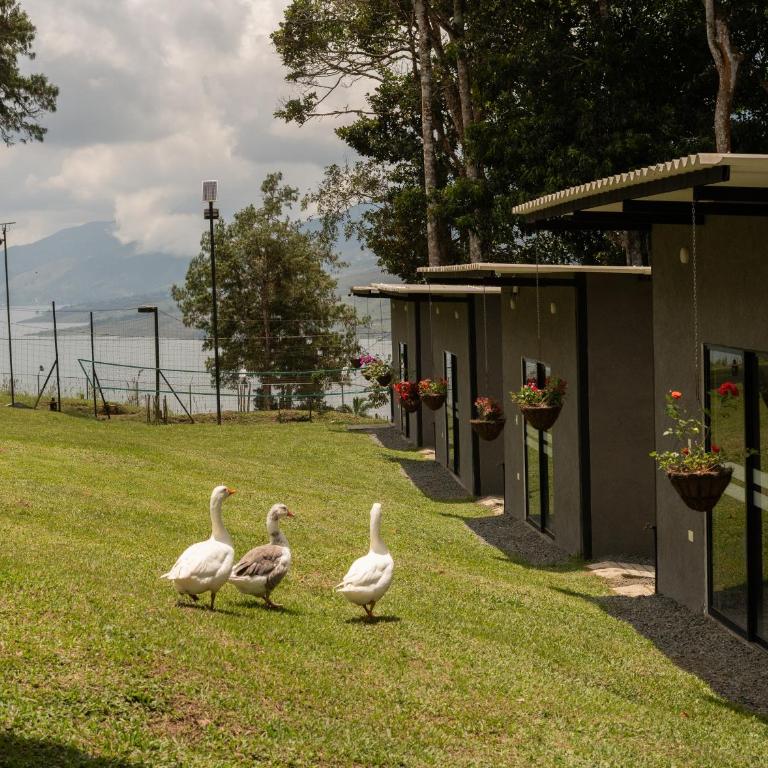 Valle de las Bendiciones, Lago Calima - Casa con 1 dormitorio - 17