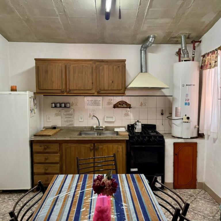La Pantera - Casa de 2 dormitorios - 9