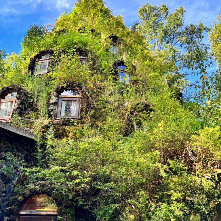 Casa Encantada HuiloHuilo - Three-Bedroom House - 28