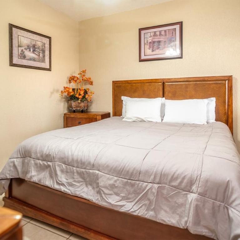 Sonoran Sun - Casa - 15